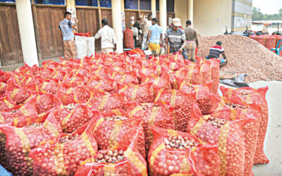 政府が輸入を許可した後、タマネギの価格が下がり始める