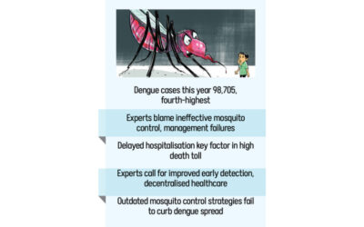 デング熱による死者401人、過去25年間で3番目に多い