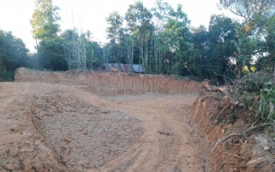 違法な丘陵伐採によりナビガンジで数千人が危険にさらされる