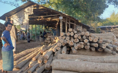 バンダルバンの7つのウパジラ：環境省の許可なしに操業する製材所が60軒