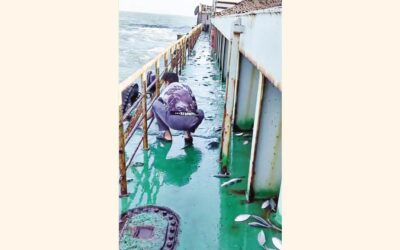 ヒルシャが湾の水から船に飛び乗るとき