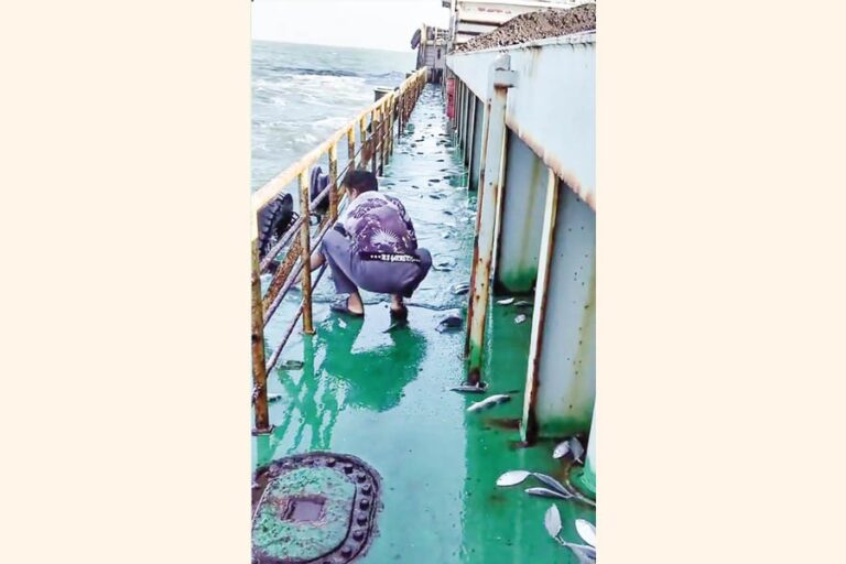 ヒルシャが湾の水から船に飛び乗るとき