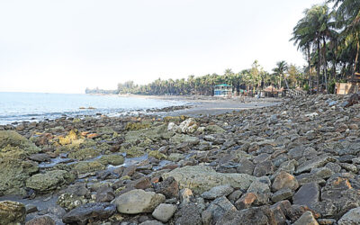 セント・マーチン島は死につつありますが、まだ救えるのでしょうか?