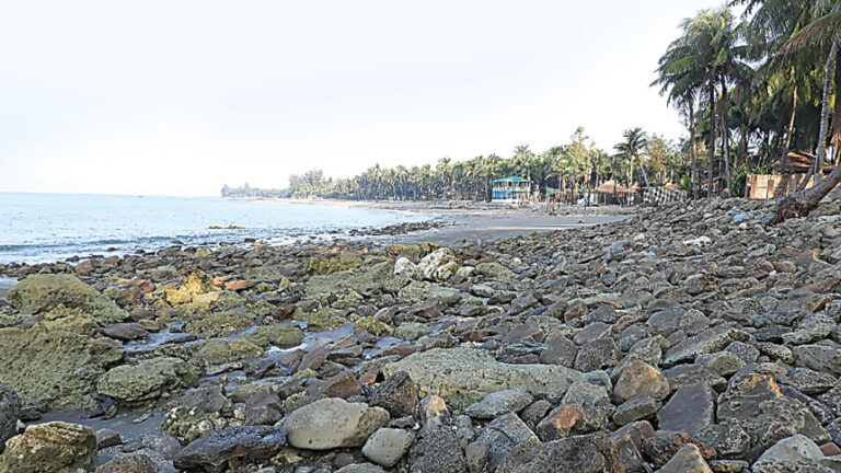 セント・マーチン島は死につつありますが、まだ救えるのでしょうか?