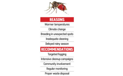 なぜデング熱は冬でも流行するのでしょうか?