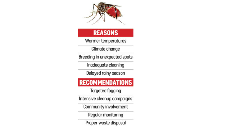 なぜデング熱は冬でも流行するのでしょうか?