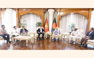 BNP常任委員サラディン・アハメド