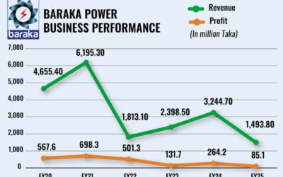 バラカ・パワーの契約満了後、将来は不透明：監査役
