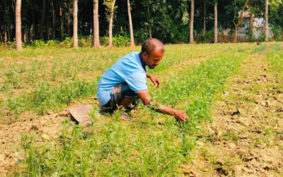 500タカからスタートしたラジバリの若者たちは、現在複数のベンチャー企業を経営している。