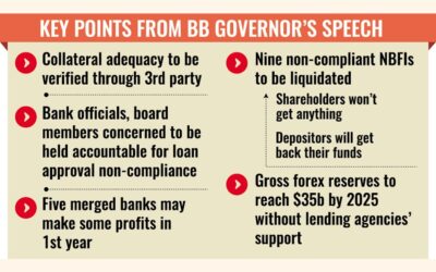 ガバナンスの失敗、不良融資に対する即時の規制介入