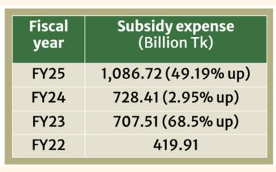 補助金負担の増加に伴い財政余地は縮小