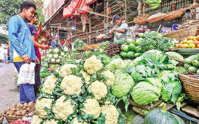 野菜、鶏肉、卵が安くなる