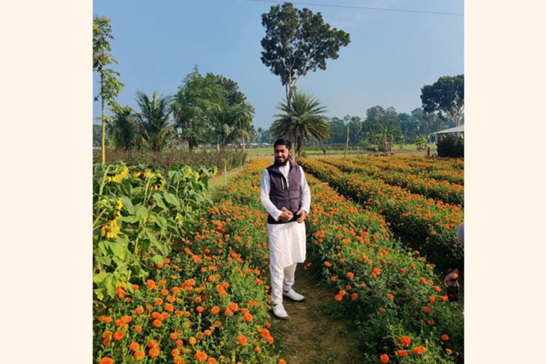 ジャショアのガドカリの花卉ビジネスは40億タカを超える可能性あり