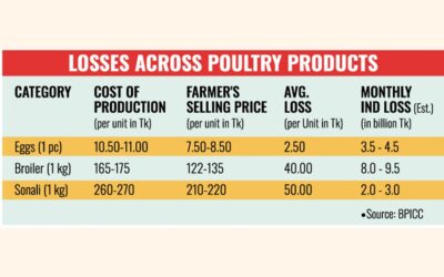 養鶏業界は深刻な危機に陥り、農家は毎月130億タカの損失を被っている