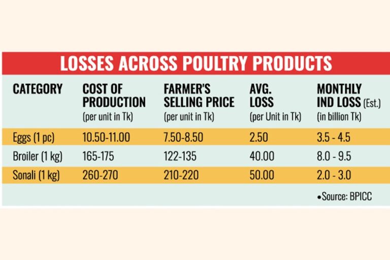 養鶏業界は深刻な危機に陥り、農家は毎月130億タカの損失を被っている