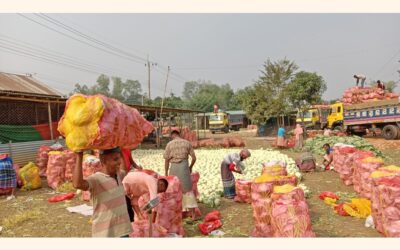 野菜は卸売りでは安く売れるが、手直しすると高くなる