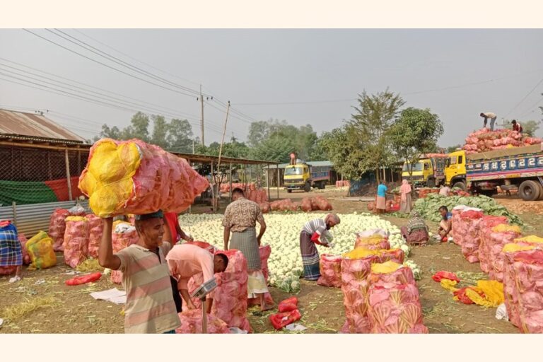 野菜は卸売りでは安く売れるが、手直しすると高くなる