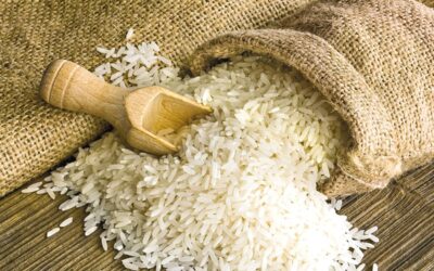 中国からの購入契約によりタイ米価格が7ヶ月ぶりの高値