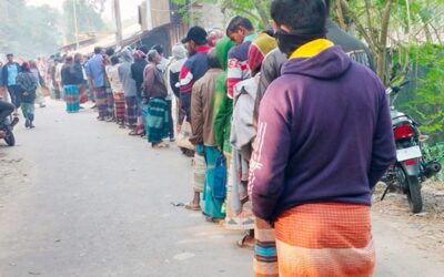 肥料不足がジャガイモ栽培を阻害