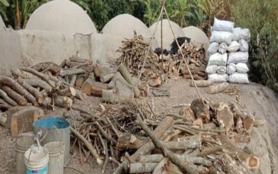 木炭窯は環境と公衆衛生に広く害を及ぼしている