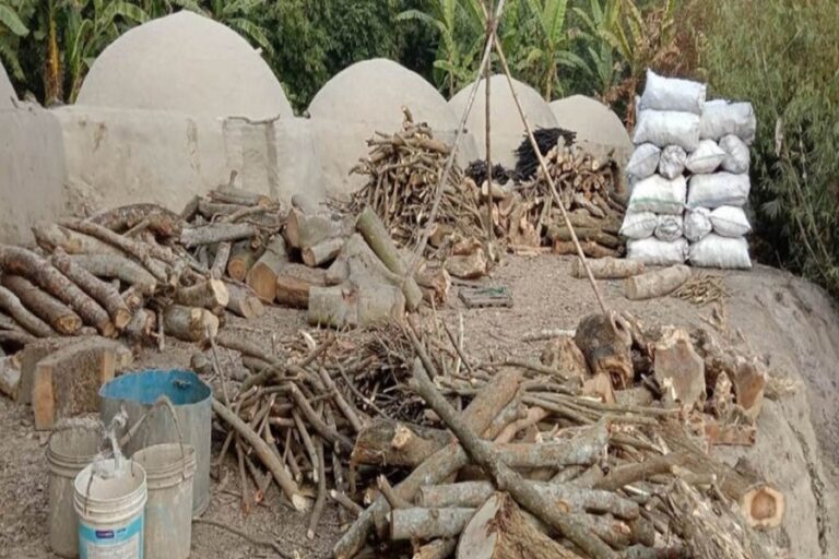 木炭窯は環境と公衆衛生に広く害を及ぼしている