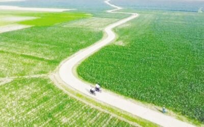 ハオルをつなぐ：BADCの取り組みがスナムガンジの稲作を変革