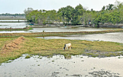 沿岸地域の食糧主権を奪っているのは誰でしょうか?