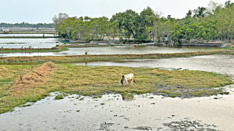 沿岸地域の食糧主権を奪っているのは誰でしょうか?