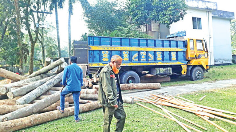 サチャリ、レマ・カレンガ：保護林での違法伐採が続く