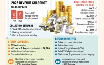 NBRの混乱により2025年の収入が減少、収益圧迫が深刻化