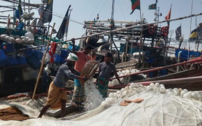 漁業者登録証8,000枚が取り消される