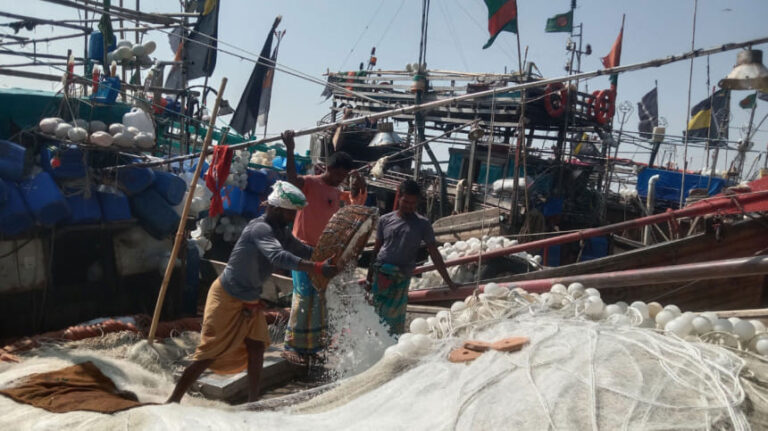 漁業者登録証8,000枚が取り消される