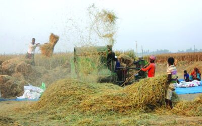 約束から実践へ：公正な農業経済の構築
