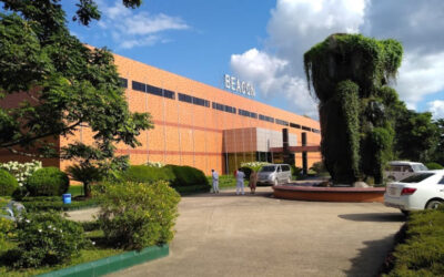 ビーコン・ファーマの不正疑惑をめぐり調査委員会が設置