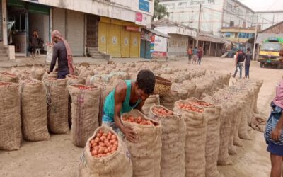すでに供給過剰となっているボグラ市場でジャガイモの価格が底値に達する