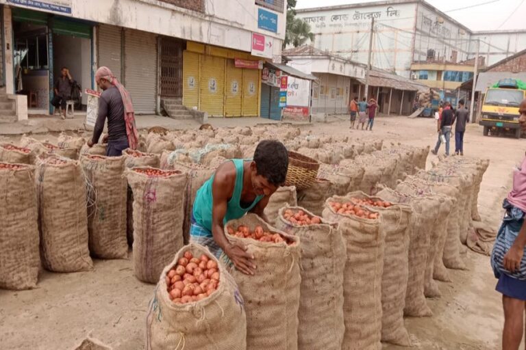 すでに供給過剰となっているボグラ市場でジャガイモの価格が底値に達する
