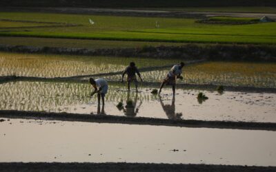 トップショット（2026年1月13日）