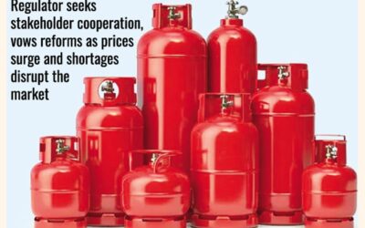 危機回避のため輸入増加：BERC