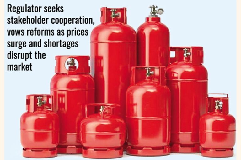 危機回避のため輸入増加：BERC