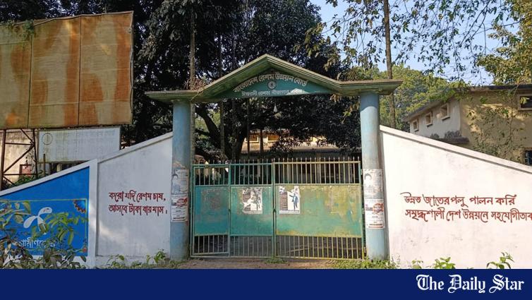 イシュワルディ絹種農場：かつては利益を生んでいたが、今は崩壊寸前