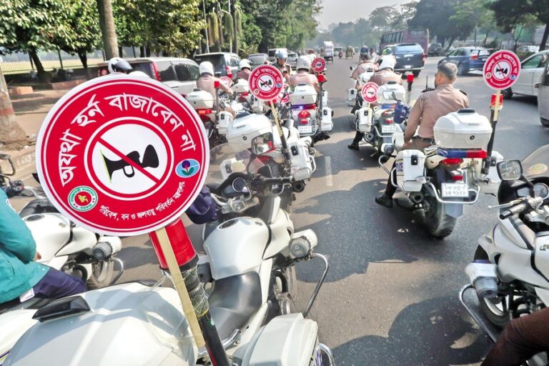 リズワナ氏は騒音公害を抑制するために不必要なクラクションを止めるよう訴えている