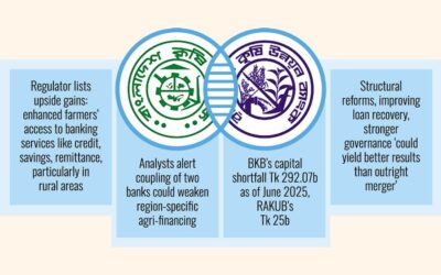 BKB-RAKUB合併のリスクとメリットを比較検討