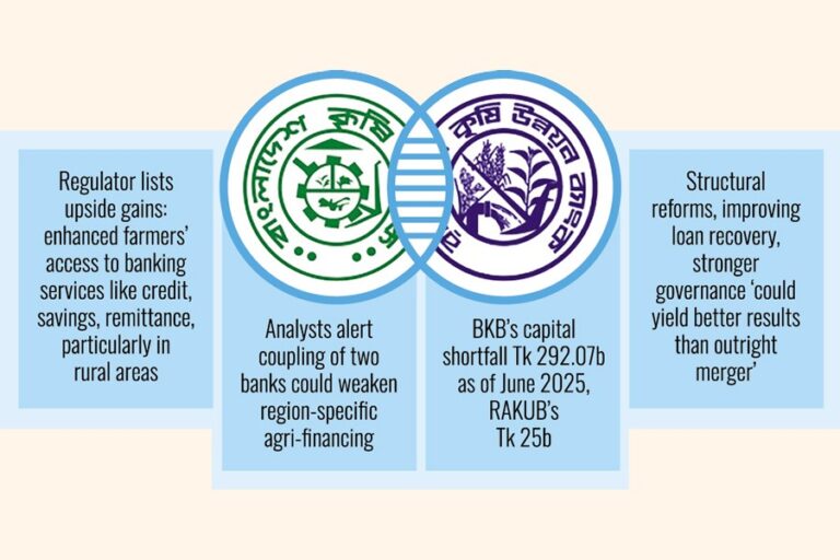 BKB-RAKUB合併のリスクとメリットを比較検討