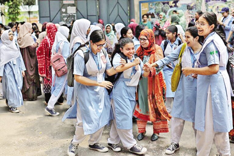 BDにおける政治的社会化の形成