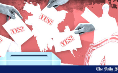 暫定政府の「賛成」投票の主張が正当な理由