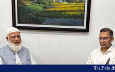 世論調査：48％がタリク氏を次期首相に