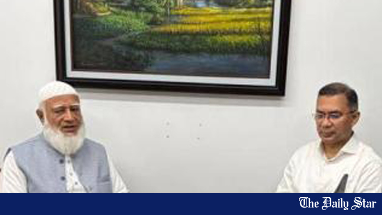 世論調査：48％がタリク氏を次期首相に