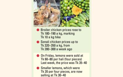 ラマダンを前に、鶏肉、魚、レモン、キュウリの価格が上昇