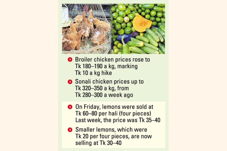 ラマダンを前に、鶏肉、魚、レモン、キュウリの価格が上昇