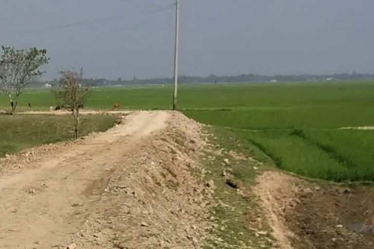 資金不足により堤防工事が遅れ、ボロの農作物が脅かされる